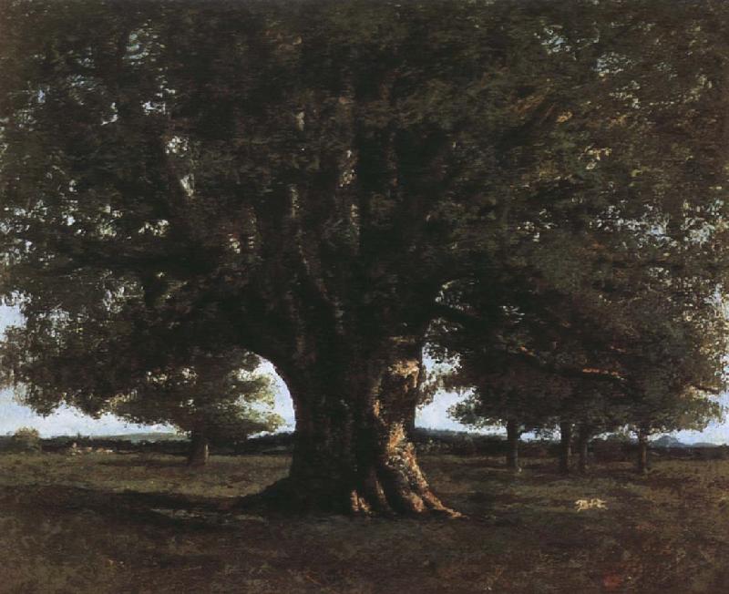 Gustave Courbet Tree